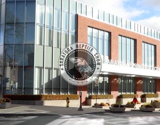 exterior of saratoga city center