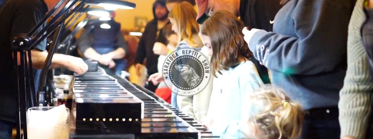 saratoga reptile show