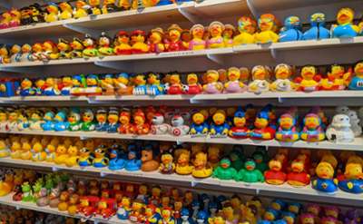 rows of rubber ducks