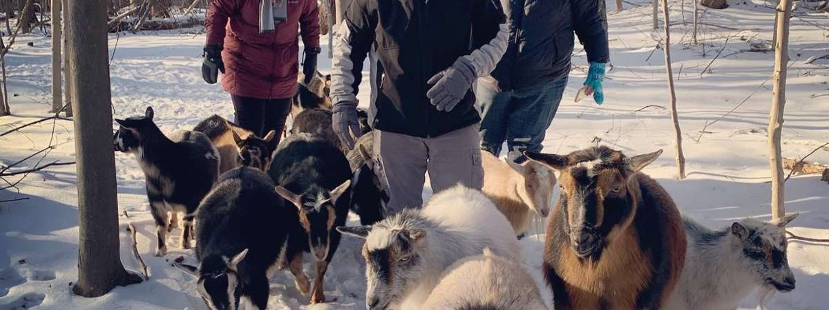 Snowshoe Adventure at intothewoodsfarmny.com