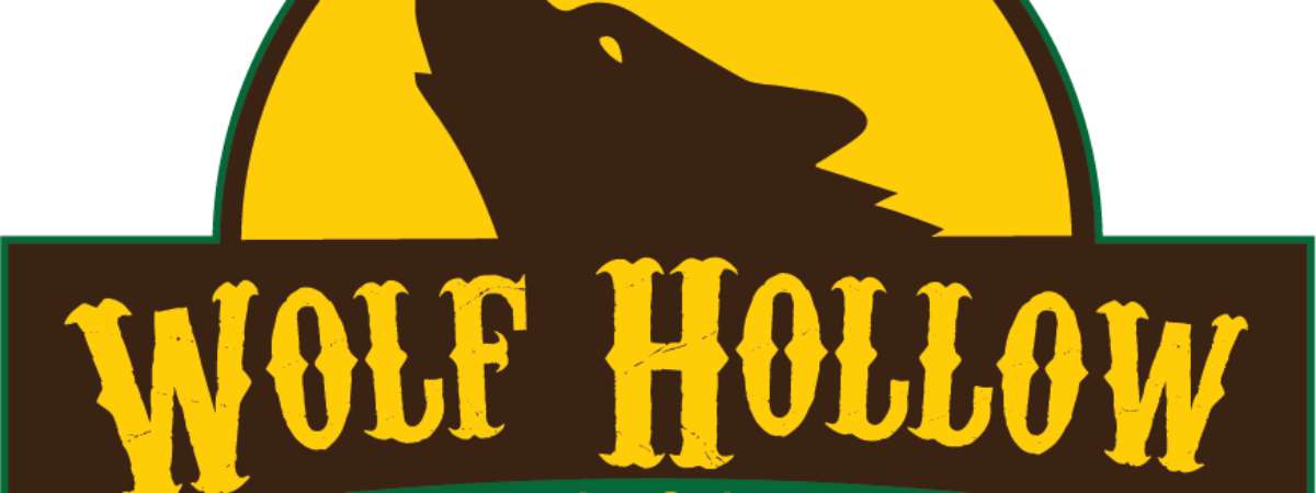 Wolf Hollow VS Saranac Brewing @ Harvey's