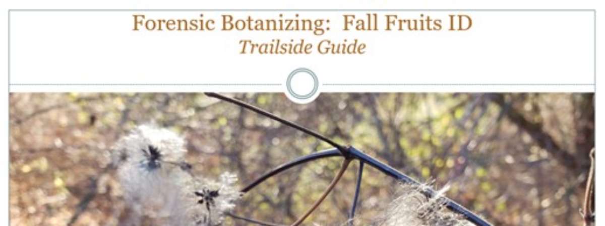 Forensic Botanizing-Fall Fruits ID-trailside digital guide