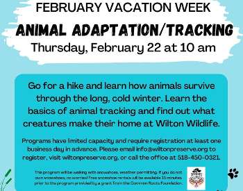 Winter Animal Adaptations & Tracking