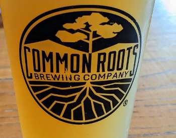 common roots glass of beer