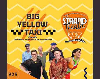 big yellow taxi flyer