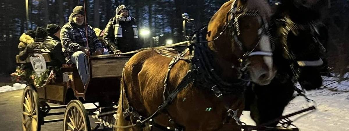 horse-drawn carriage ride