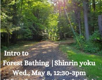 Ground and meditate as you connect deeply with Nature in the Saratoga Spa Park