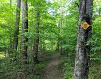 Huyck Preserve Trail