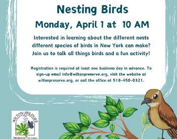 Nesting Birds Wilton Wildlife Preserve & Park