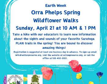 Orra Phelps Spring Wildflower Walks