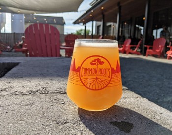 common roots brewing beer