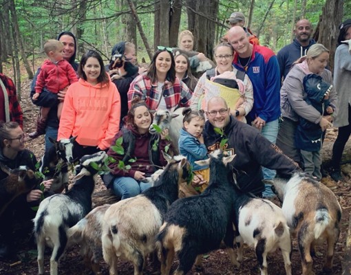 Www.intothewoodsfarmny.com