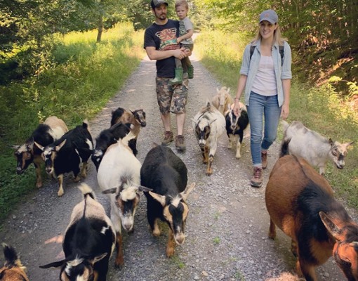Www.intothewoodsfarmny.com