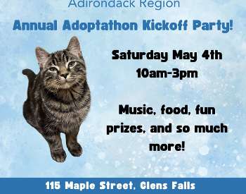Annual Adoptathon Kickoff Party! Saturday May 4th, 10am-3pm