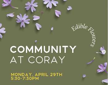 Community at Coray