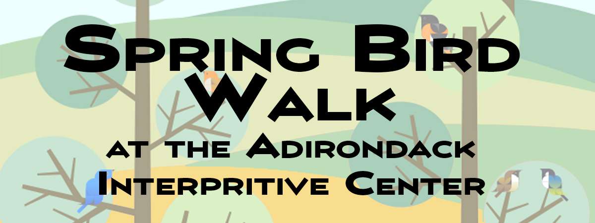 Spring Bird Walk at the Adirondack Interpretive Center