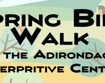 Spring Bird Walk at the Adirondack Interpretive Center