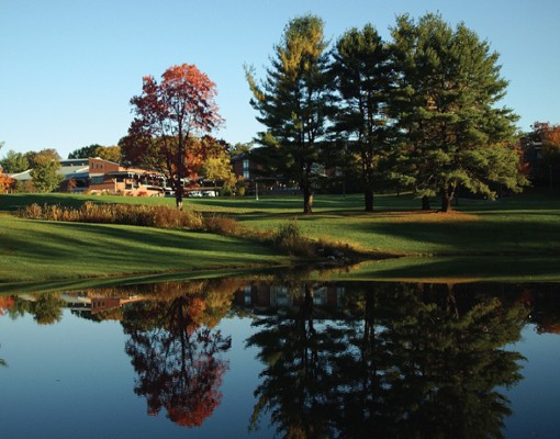 pond by a park