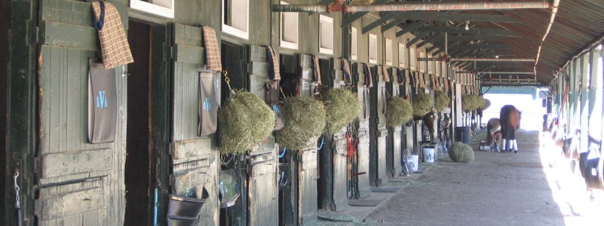 Horse Haven Stables