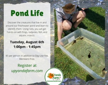 Pond Life ad with program description and photo