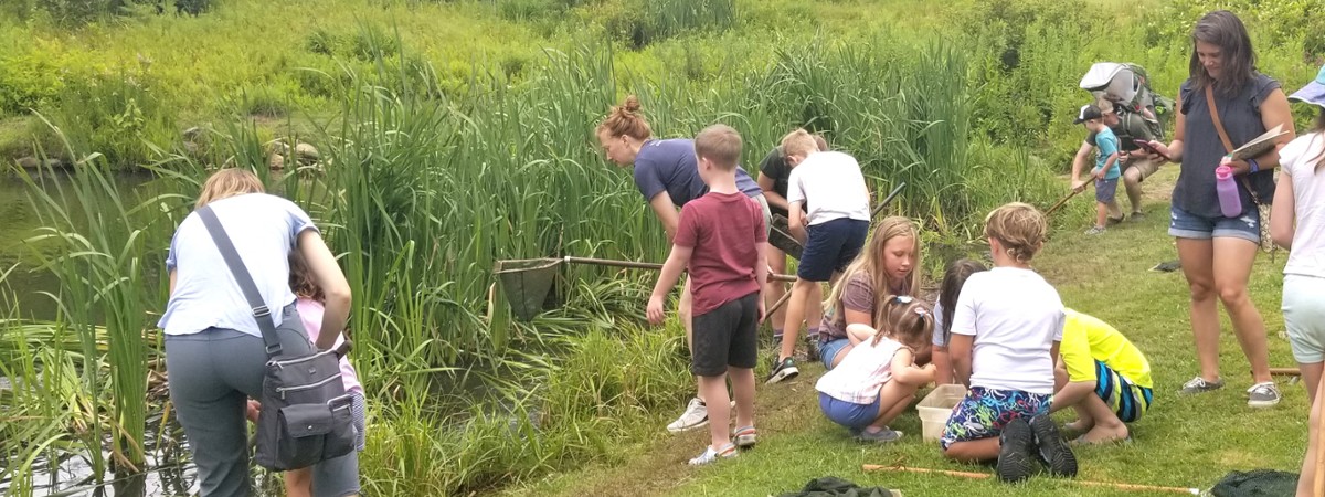 People using nets at Up Yonda Farm pond