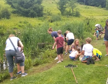 People using nets at Up Yonda Farm pond