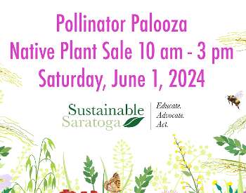 Pollinator Palooza Event