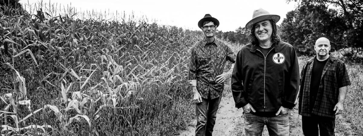 three musicians by cornfield