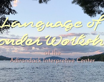 Language of Wonder Workshop