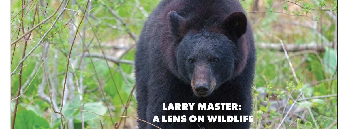 Larry Master photography
