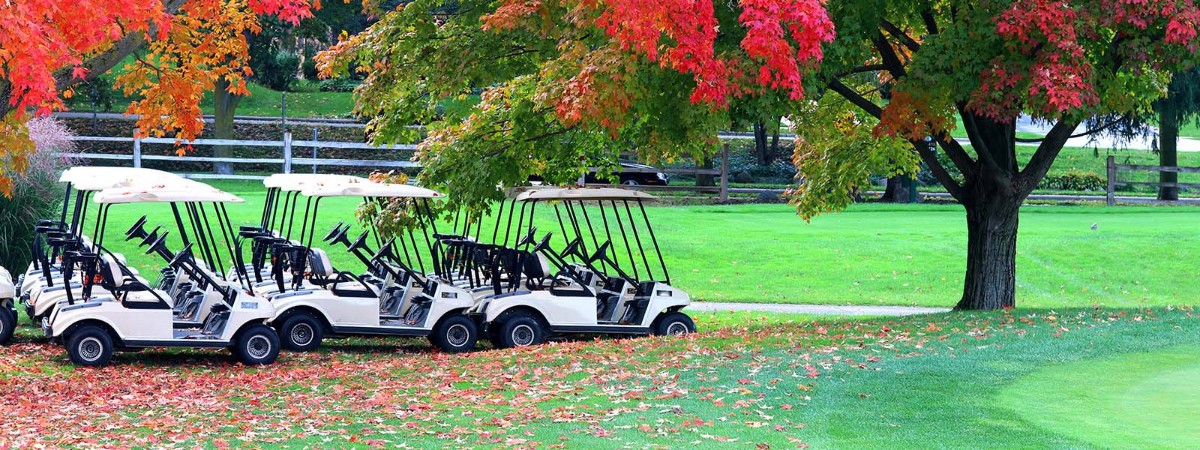 Golf carts Lined up under a tree with red and green foliage.