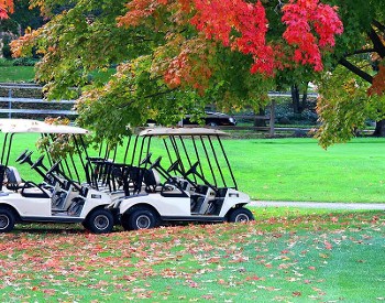 Golf carts Lined up under a tree with red and green foliage.