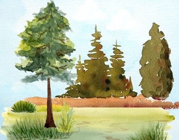 Art Adventures at Ski Bowl Park: Drawing & Painting Trees (by Julia)