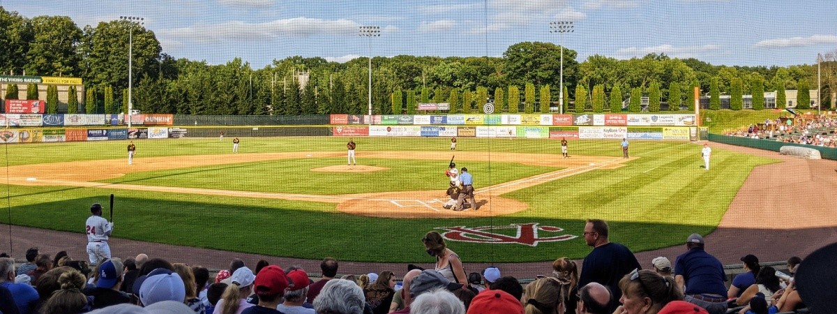 people watching a baseball game