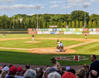 people watching a baseball game