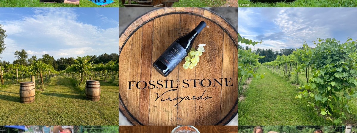 photo collage of goat yoga and fossil stone vineyards