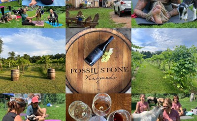photo collage of goat yoga and fossil stone vineyards