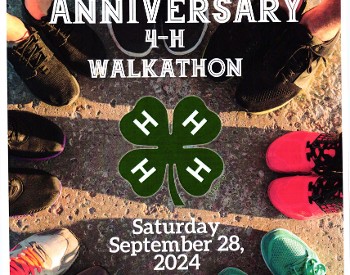 walkathon flyer