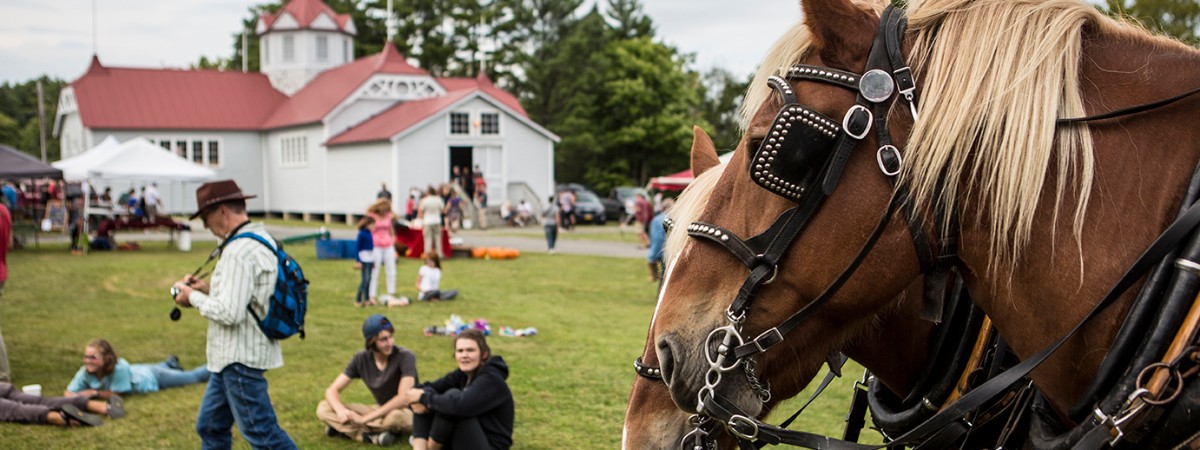 ADK Harvest Fest