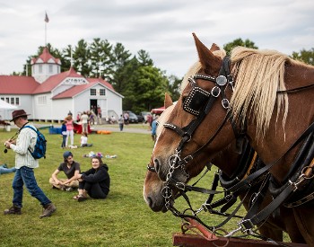 ADK Harvest Fest