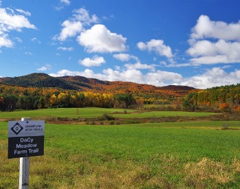 DaCy Meadow