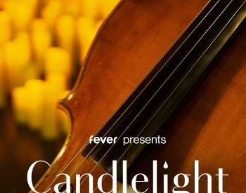 ⭐ Candlelight concerts bring the magic of a live, multi-sensory musical experience to awe-inspiring locations like never seen before in Albany