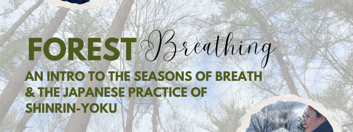 Forest Breathing Intro to Seasons of Breath and Shinrin-yoku