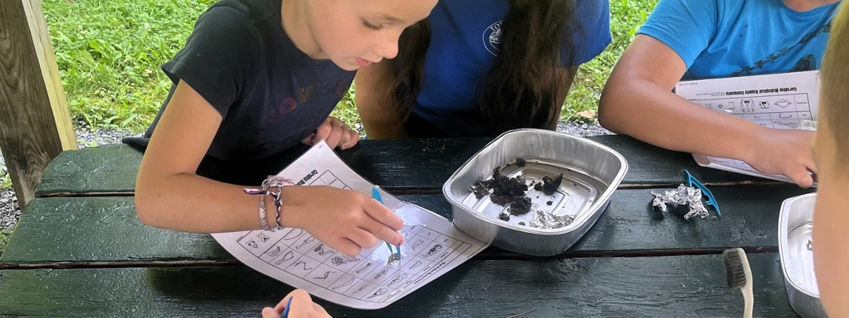 Owl pellet dissection at Up Yonda Farm