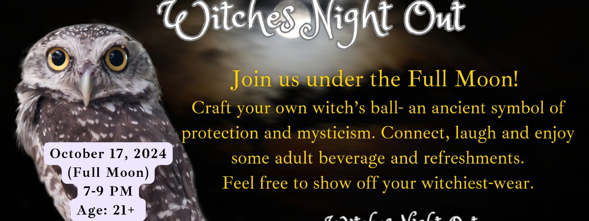 Black background, whit and gray owl, Witches Night Out