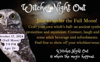 Black background, whit and gray owl, Witches Night Out