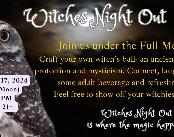 Black background, whit and gray owl, Witches Night Out