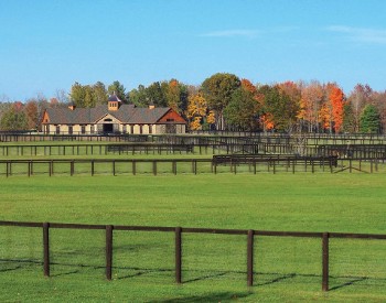 Main Barn and lush paddocks at Sugar Plum Farm