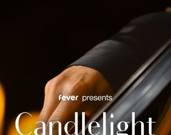 ⭐ Candlelight concerts bring the magic of a live, multi-sensory musical experience to awe-inspiring locations like never seen before in Albany