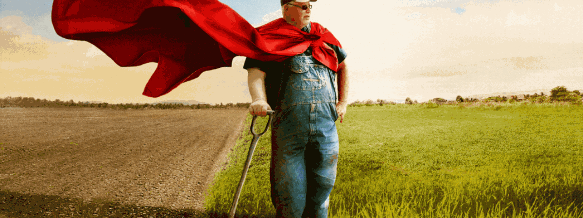 A farmer in his field